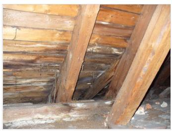 obr. 35 - Nadměrná vlhkost dřevěného bednění u okraje střechy [10] Konstrukce, které jsou vystavené dlouhodobému působení vlhkosti, jsou většinou napadeny dřevokaznými houbami nebo hmyzem, pro které