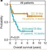 prognóza DLBCL GC TdT bcl-6 CD10 Non-GC bcl-2 MUM-1