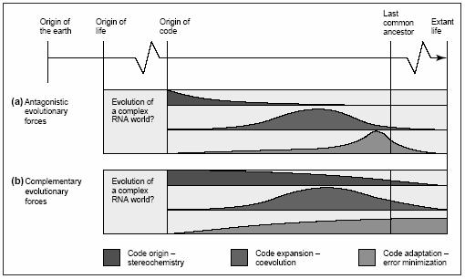 Evoluce genetického kódu: Antagonistické
