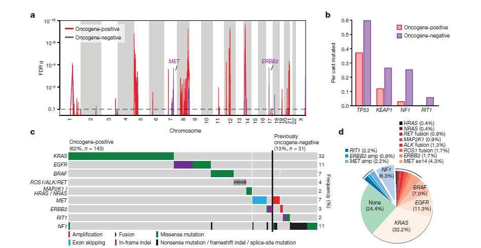 Analýza mutací NSCLC Chen et