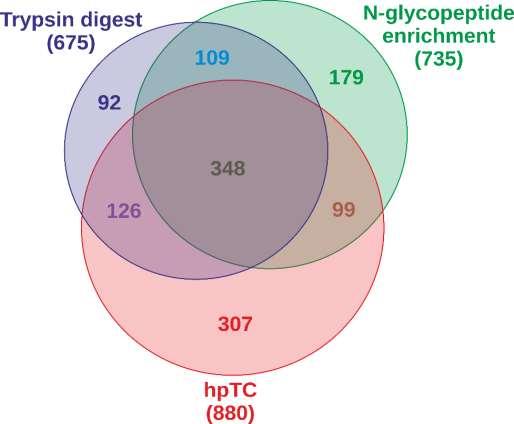 The membrane proteome of PHEO/PGL Up to 1300