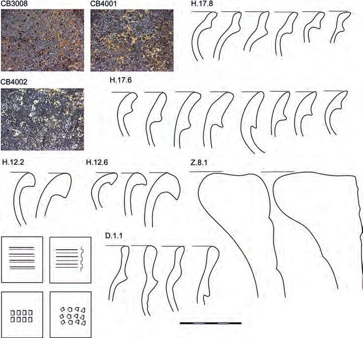Archeologické rozhledy LXX 2018 629 Obr. 22. Keramika horizontu B2. Charakteristické keramické třídy, skupiny a typy okrajů a výzdoby. Fig. 22. Pottery horizon B2.