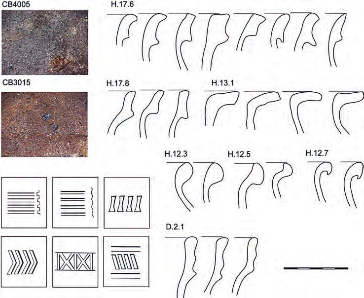 630 Čapek: Archeologický výzkum na nádvoří radnice v Českých Budějovicích Obr. 23. Keramika horizontu C1. Charakteristické keramické třídy, skupiny a typy okrajů a výzdoby. Fig. 23. Pottery horizon C3.