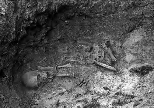 Archeologické rozhledy LXX 2018 519 Obr. 10. Praha-Dejvice. Kostrový hrob k. badenské, prozkoumaný A. Knorem v roce 1932 u železničního viaduktu. Foto archiv Archeologického ústavu AV ČR, Praha, v. v. i.