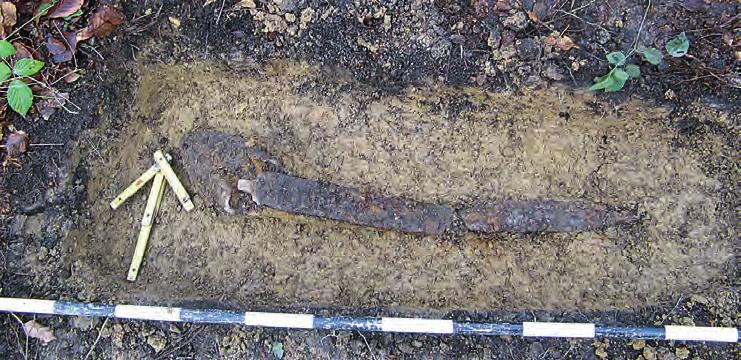 Archeologické rozhledy LXX 2018 529 Obr. 2. Křenov, okr. Svitavy. Kresebná dokumentace depotu. Fig. 2. Křenov, Svitavy district. Drawing documentation of hoard. Obr. 3. Křenov, okr. Svitavy. Nálezová situace depotu (foto D.