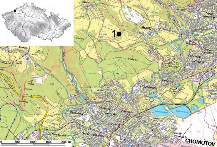 Půlpánová-Reszczyńska Půlpán Ondráčková: Depot zbraní z doby římské 555 Obr. 1. Hrádečná, okr. Chomutov, Ústecký kraj.