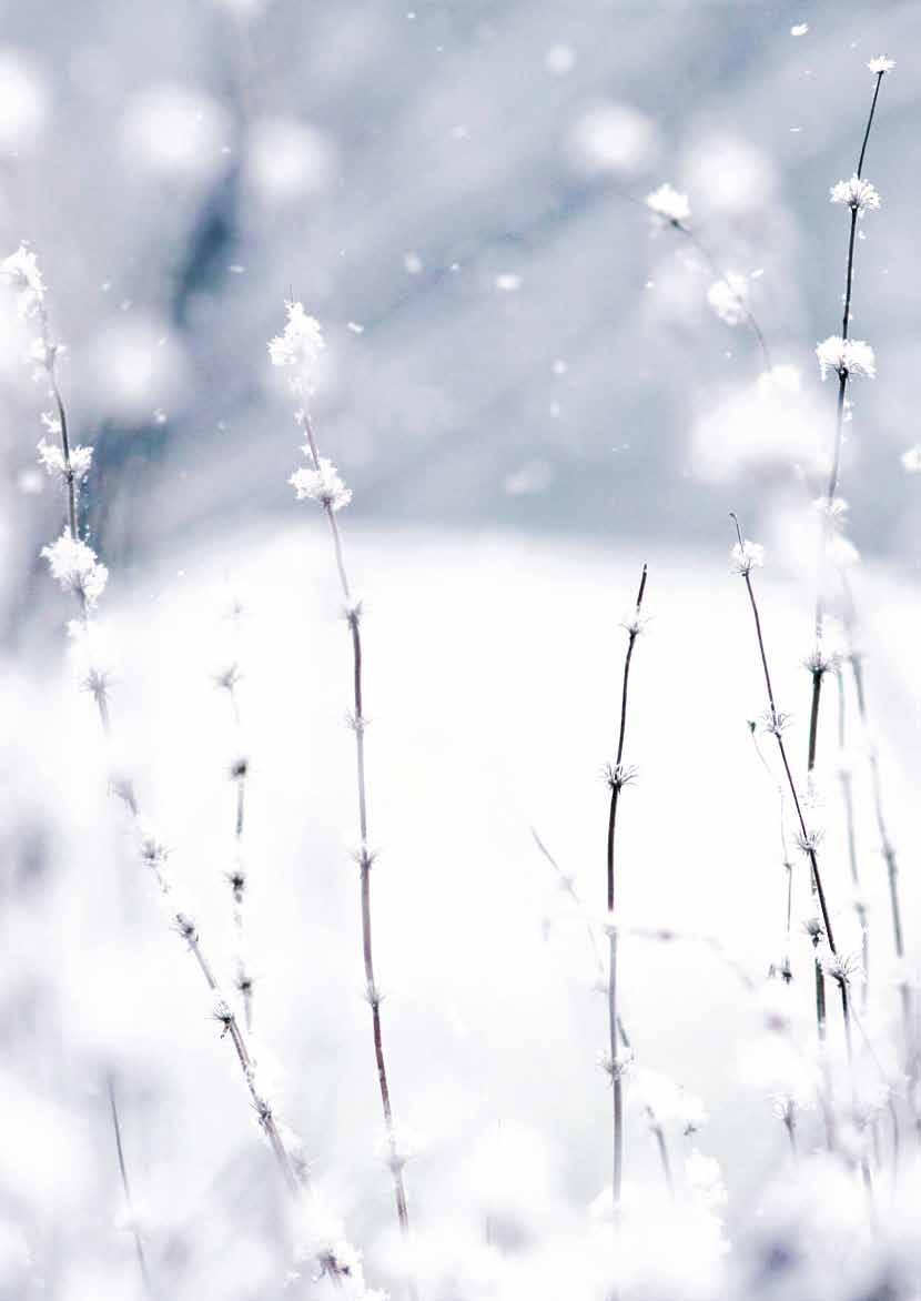 Společenská kronika Dne 19. 11. 2018 oslavila krásné 99. narozeniny paní Jiřina Cidlinská z Chlumína.
