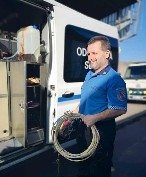 informace z městské části Toulavé kočky nekrmte, vlastně jim tím škodíte!
