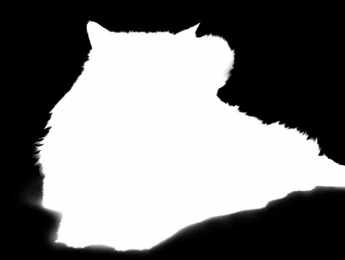 cat obsahují Vysoké procento masa.