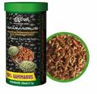 cz Krmivo Gammarus pro vodní želvy 250 ml 50 % JEN S VĚRNOSTNÍ KARTOU od 29,90 52,90 od 14 90 50 % JEN S VĚRNOSTNÍ KARTOU 25 90 50 % JEN S