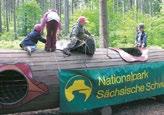 Grenzüberschreitende Nationalparkwanderungen sind auf vier gekennzeichneten Wanderwegen im Bereich Hinterhermsdorf möglich.