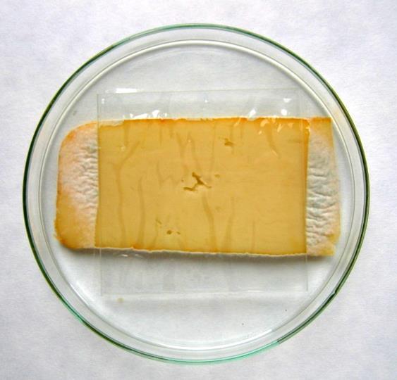 PV 2002-4247 (Patent č. 293897 v roce 2004) Dobiáš J., Voldřich M., Marek M. a Čeřovský M.: Active food packaging - immobilization of preservatives on/in packaging materials.