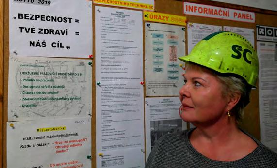 Nejprve působila jako nákupčí a skladnice na Bastru v Ostravě, posléze v důlní mechanizaci v Petřvaldě a od roku 2000 přešla do materiálově technického zabezpečení na šachtu ČSA v Karviné.