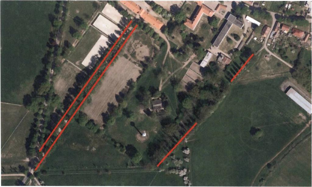 Arboristické ošetření stromů