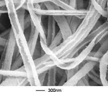 HSPET/PTT nanofibers shown in the graphic indicates that the