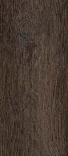 Harvest Oak