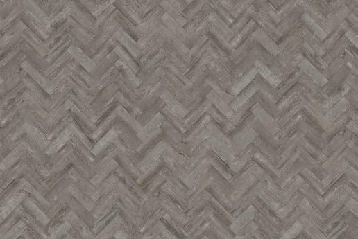 Oak SS5W2550