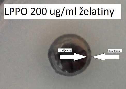 15 g/10 g 0.05 g/10 g 0.15 g/10 g 0.03 g/10 g 0.05 g/10 g 0.15 g/10 g 0.05 g/10 g 0.15 g/10 g 0.03 g/10 g Hydrogelželatiny a hydrogelmetylcelulózys LPPOs2.
