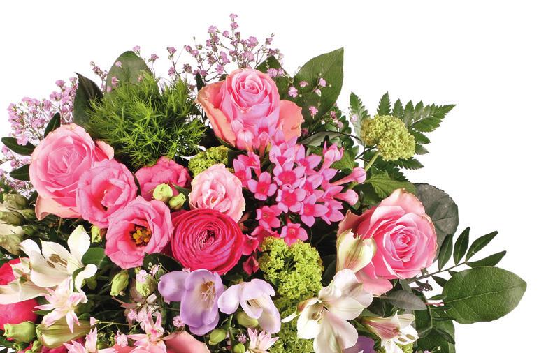 PREMIUM LINE PREMIUM Flower 5240 70 Combi W: 19 mm, H: 19 mm, L: 45 cm W: 0.7", H: 0.7", L: 17.7" Weight (Ag): 2.60 g 5238 70 Combi W: 8 mm, H: 24 mm, L: 38+7 cm W: 0.3", H: 0.9", L: 15.0+2.