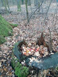 3/2019 strana 9 V neděli 17. 2. 2019 se v chrastecké sokolovně uskutečnil dětský karneval, který pořádal jako každoročně oddíl rodičů a dětí.