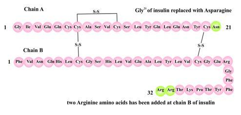 Glargine Insulin API =