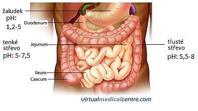 Farmakokinetické děje (ADME) The absorption of the active substance into the blood circulation occurs in the gastrointestinal