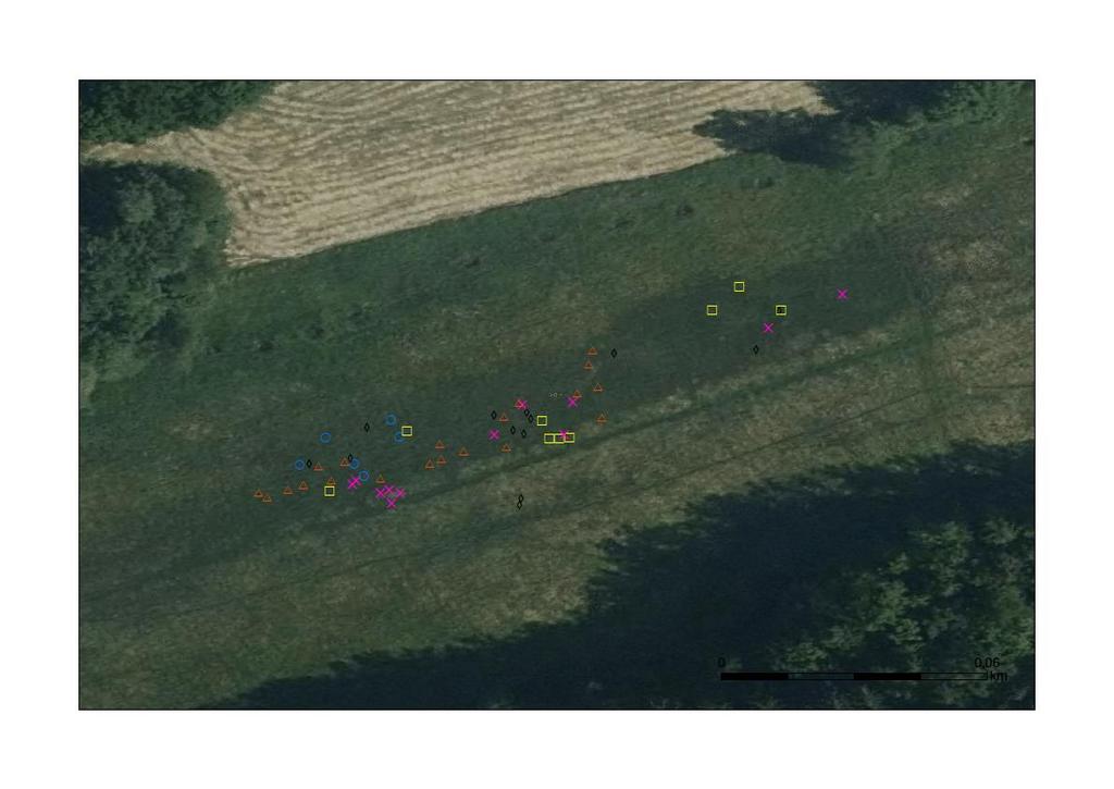 Obr. 18: Výskyt Lipars loeselii na lokalitě PR Podtrosecká údolí v letech 2012 2016; 2012 modrý