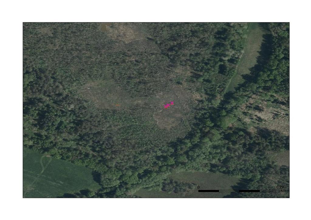Obr. 20: Výskyt Lipars loeselii na lokalitě NPR Ruda v letech 2014