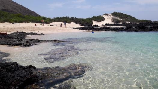 proběhnutí na pláž Tortuga Bay poslední koupání na Galapágách nebo nákupy