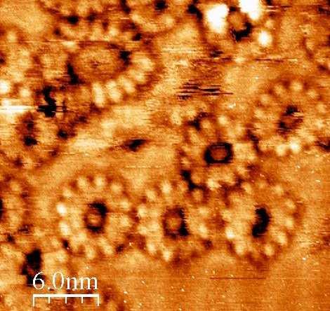 Vernier templátování Vernier templating and synthesis of a 12-porphyrin nano-ring Melanie C. Sullivan, Johannes K. Sprafke, Dmitry V.