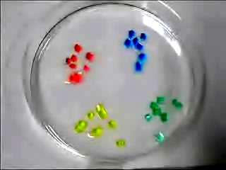 Macroscopic self-assembly through molecular