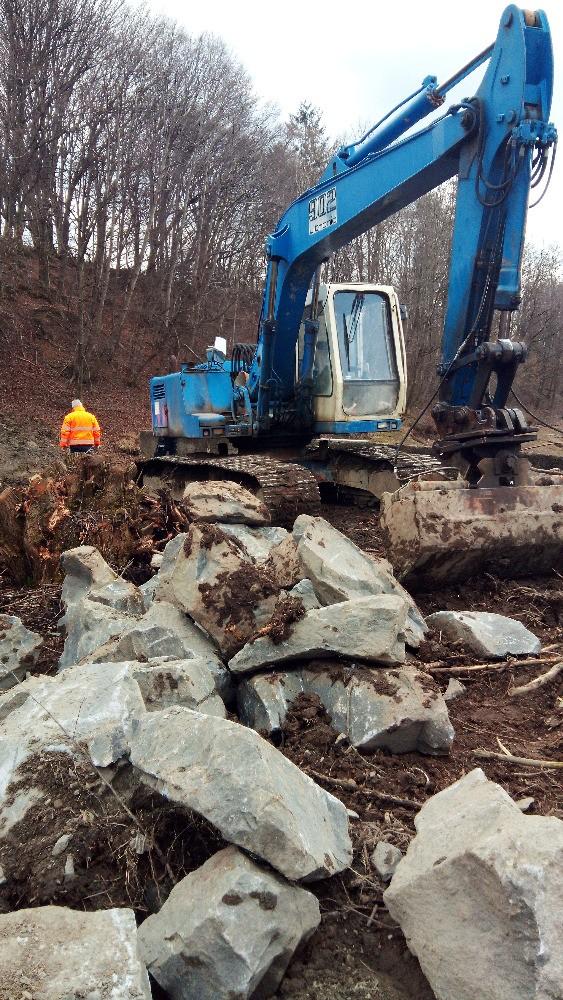 Kategorie 3 ostatní druhy ryb kapr, amur, bolen, parma, ostroretka a další Tato kategorie nemá výši náhrad stanovenou pevnou částkou, její výše bude každý rok vypočítávána ze zbývajících finančních