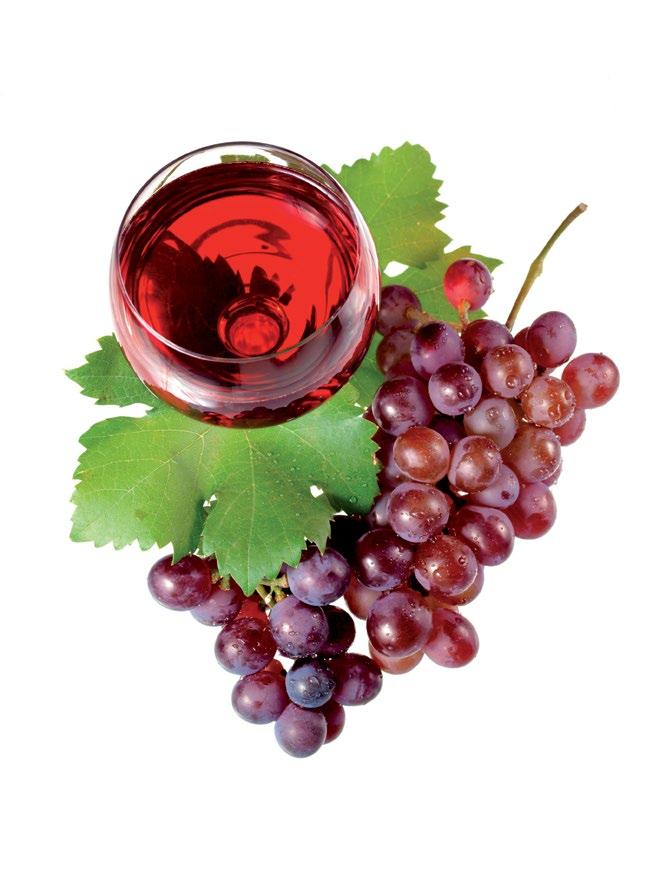 Primitivo 0,75 l 620 Kč Cantine de Falco, Itálie Víno je tmavě červené barvy s fialovými odstíny. Intenzivní aroma černého bobulovitého ovoce s jemnými květinovými tóny.