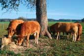 chfiipce pfiípravky, které nám budou v rámci zooveterinárního servisu doporuãeny.