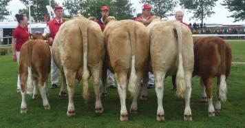 Zasedání European Beef Simmental Group Jan Kopeck, âschms Na základû pozvání pracovní skupiny evropsk ch chovatelû Masného simentála European Beef Simmental Group se skupina chovatelû ing.