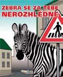 cyklistů, zapříčiněných nedodržováním bezpečnostních zásad při jízdě na kole. Důraz kampaně je kladen především na použití ochranných bezpečnostních přileb. www.nakolejensprilbou.