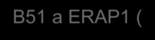 Interakce HLA-B51 a ERAP1 (epistatický efekt)