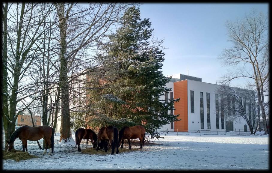 předmětů volitelných (i z jiných fakult JU). Podrobné složení studijních plánů lze nalézt na webových stránkách fakulty.