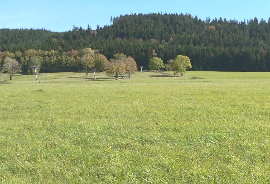 Louky na zájmových plochách jsou také relativně suché a chřástal polní preferuje stanoviště s alespoň maloplošným výskytem vlhkomilné vegetace.