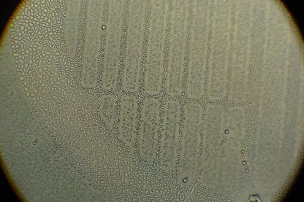 Mikrostrukturované povrchy Plasmová polymerizace kys.