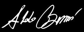 CERTIF 9105.ALDO Copyright 2018 Aldo Bernardi S.r.l. Aldo Bernardi S.r.l. si riserva il diritto di effettuare modifiche ai prodotti senza l obbligo di preavviso. Tutti i diritti sono riservati.