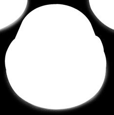 particolari di nostra produzione della serie Pleiadi, da ordinare a parte.