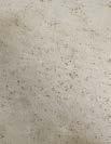 linea Rigel page