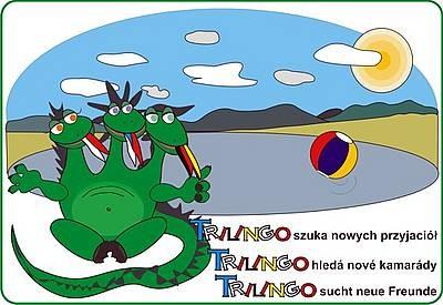 Mezinárodní spolupráci se nám daří naplňovat formou projektů v rámci Euroregionu Nisa, Tandemu Plzeň a dalšími partnery česko bavorská výměna pedagogů informační,