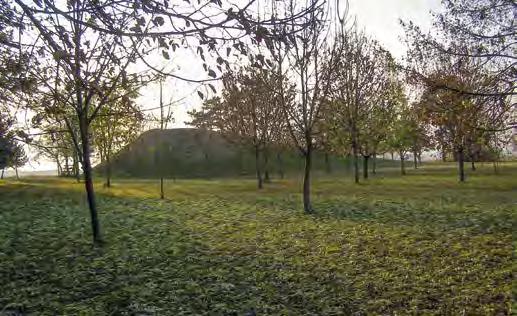 Volejbalové