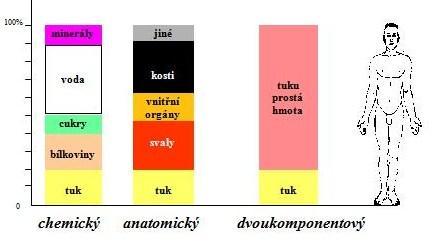 Obrázek 6. Chemický, anatomický a dvoukomponentový model tělesného sloţení (upraveno dle Wilmora, ze zdroje www.ftvs.cuni.