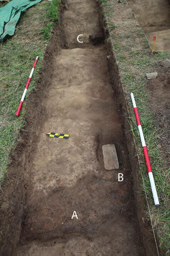 72 BULLETIN MUZEA ROMSKÉ KULTURY 26/2017 RECENZOVANÁ ČÁST Archeologický výzkum tábora v Letech Pavel Vařeka,