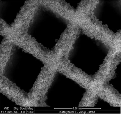 0 nm at 30 kv (SE) Urychlovací napětí: 200 V