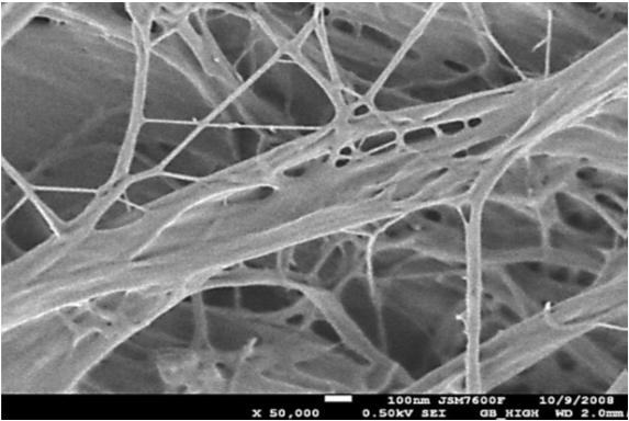 1.5nm při 1kV v GB módu Detektory
