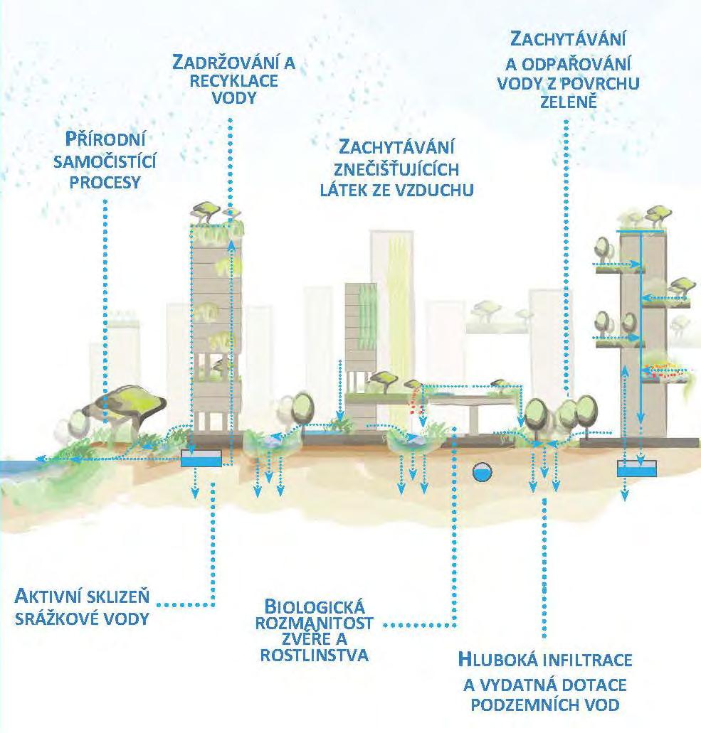 JAK SE PŘÍSTUP K MODROZELENÉ INFRASTRUKTUŘE VYVÍJEL Integrované principy MODROZELENÉ INFRASTRUKTURY